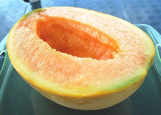 Melon królewski Yubari